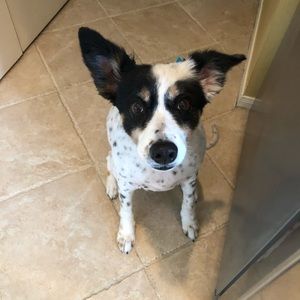 Meet your Posher, Vickie